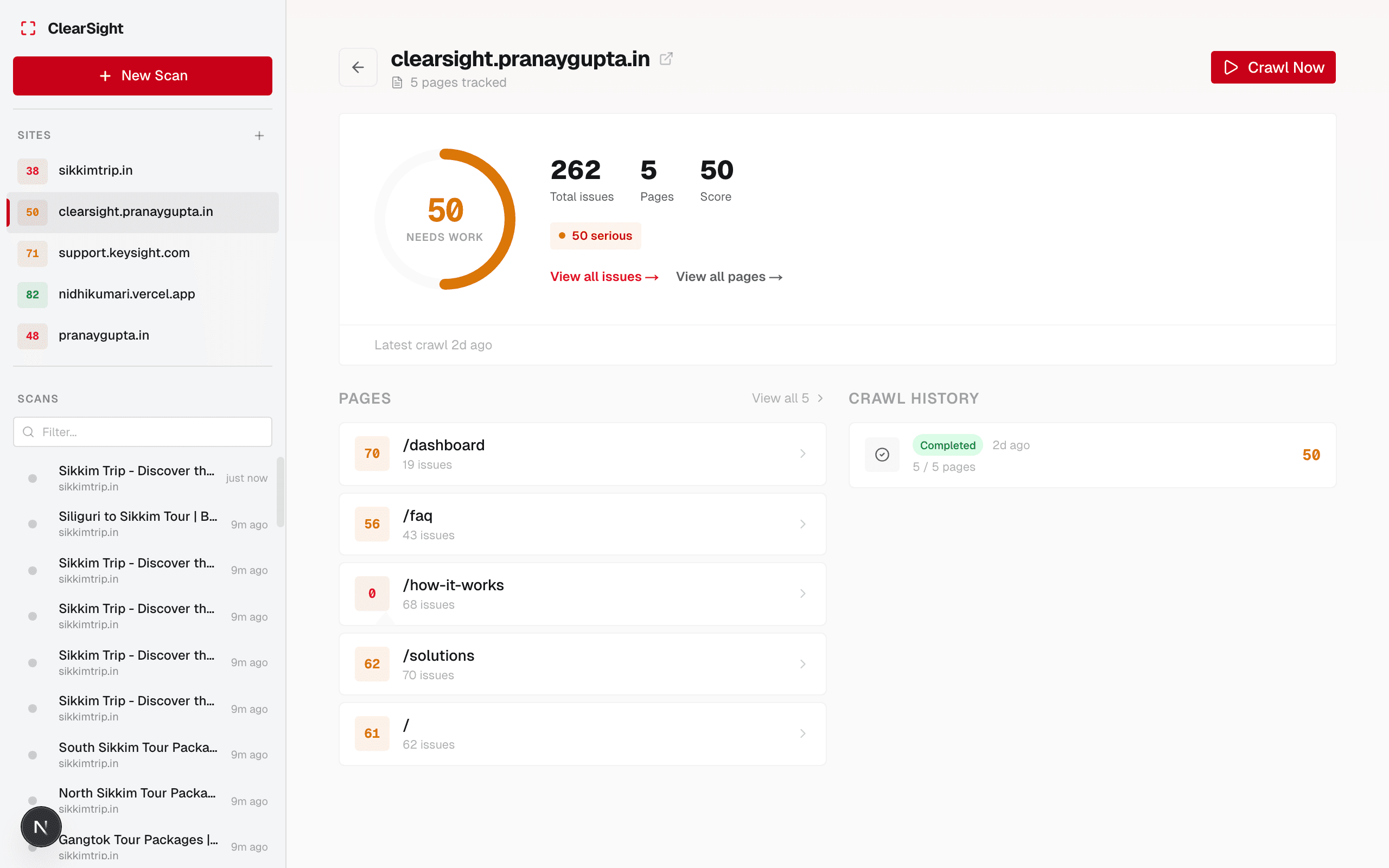Site overview showing accessibility score, total issues, and pages
